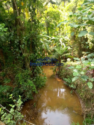 Imagem Chácara com 5 Quartos à Venda, 2.000 m² em Centro - Joanópolis