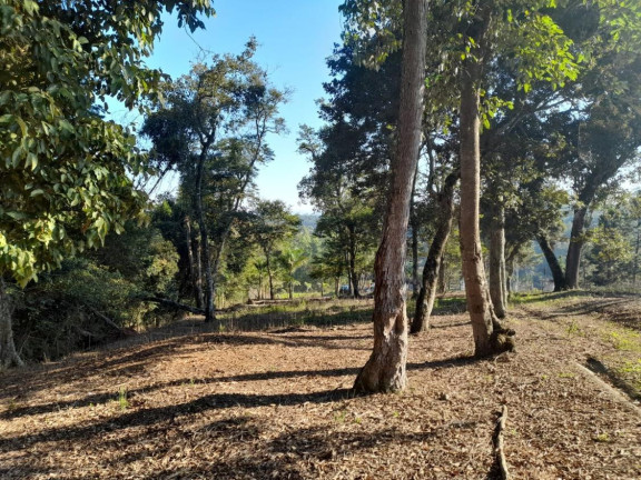 Imagem Chácara à Venda, 5.850 m² em Centro - Ibiúna