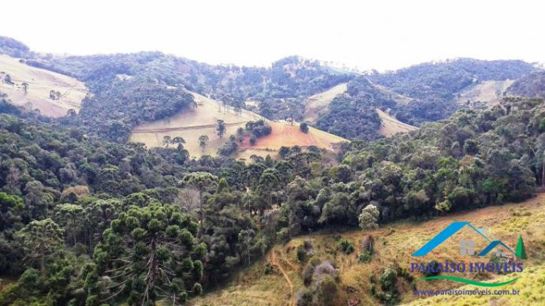 Imagem Chácara à Venda, 89 m² em Centro - Gonçalves