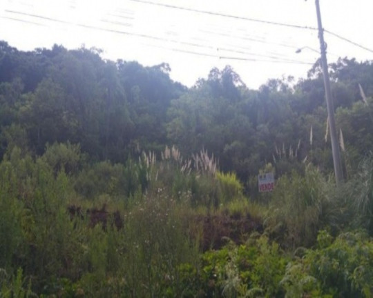 Imagem Terreno à Venda, 418 m² em Linha Imperial - Nova Petrópolis Imagem Terreno à Venda, 418 m² em Linha Imperial - Nova Petrópolis