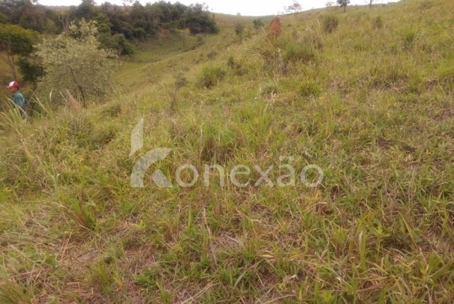 Imagem Chácara com 4 Quartos à Venda, 300 m² em Canaã - Jambeiro Imagem Chácara com 4 Quartos à Venda, 300 m² em Canaã - Jambeiro
