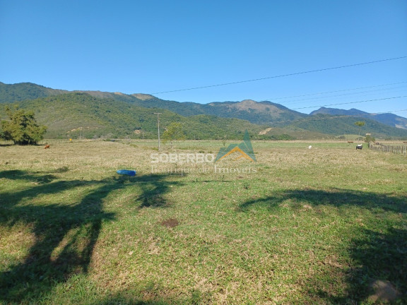 Imagem Imóvel com 8 Quartos à Venda, 6.000.000 m² em Gaviões - Silva Jardim Imagem Imóvel com 8 Quartos à Venda, 6.000.000 m² em Gaviões - Silva Jardim