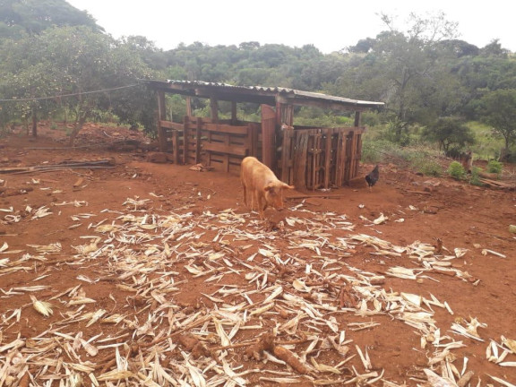 Imagem Chácara à Venda, 45 m² em Rio Novo - Avaré