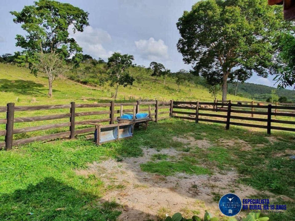 Imagem Fazenda à Venda, 54 m² em Zona Rural - Cocalzinho De Goiás Imagem Fazenda à Venda, 54 m² em Zona Rural - Cocalzinho De Goiás