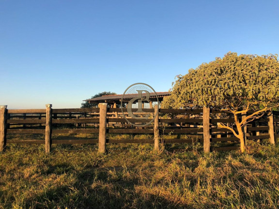 Imagem Fazenda à Venda, 6.000 m² em Chacara Do Moinho - Cachoeira Paulista