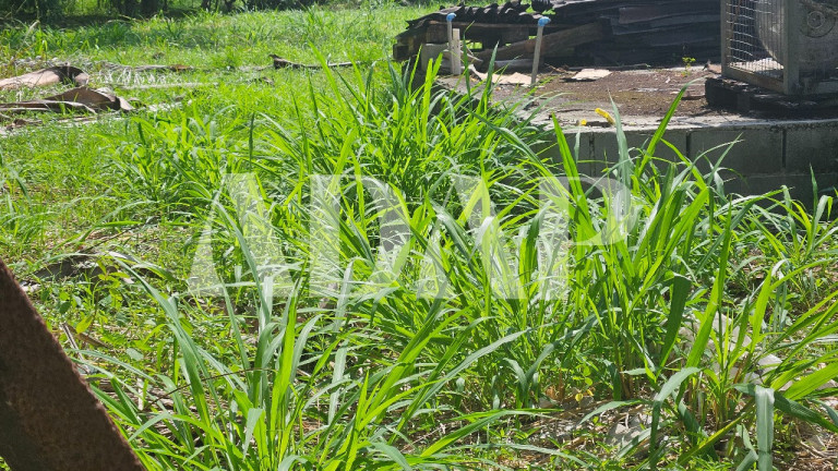 Imagem Terreno à Venda, 1.170 m² em Vargem Grande - Rio De Janeiro