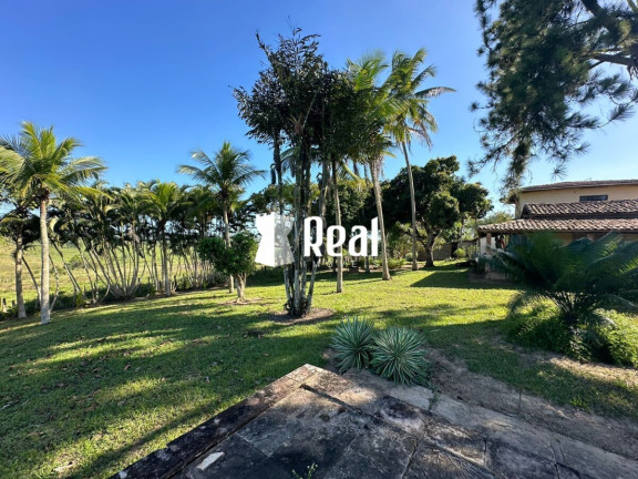 Imagem Fazenda à Venda, 1.300.000 m² em Centro - Mata De São João
