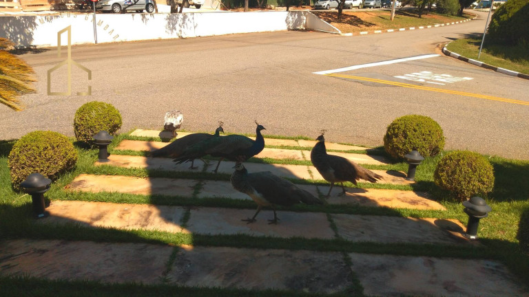 Imagem Casa de Condomínio com 4 Quartos para Alugar, 510 m² em Jardim Ibiti Do Paço - Sorocaba