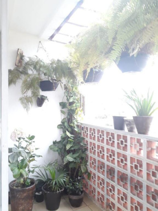 Imagem Apartamento com 3 Quartos à Venda, em Jardim Sao Paulo(zona Norte) - São Paulo Imagem Apartamento com 3 Quartos à Venda, em Jardim Sao Paulo(zona Norte) - São Paulo