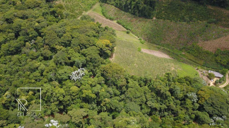 Imagem Chácara com 3 Quartos à Venda, 30.000 m² em Boa Esperança - Marechal Floriano Imagem Chácara com 3 Quartos à Venda, 30.000 m² em Boa Esperança - Marechal Floriano
