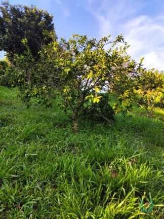Imagem Fazenda à Venda, 420 m² em Centro - Mairinque Imagem Fazenda à Venda, 420 m² em Centro - Mairinque