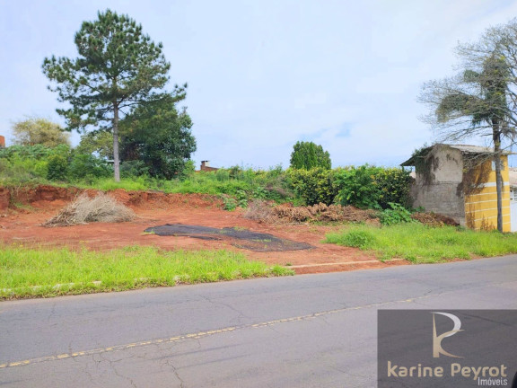 Imagem Terreno à Venda, 385 m² em Campestre - São Leopoldo