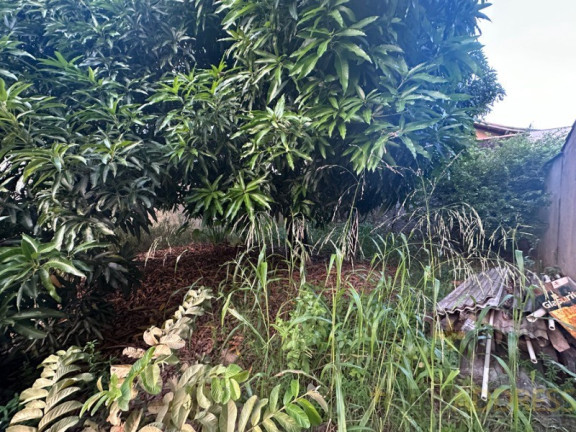 Imagem Terreno à Venda, 250 m² em Jardim América - Cariacica Imagem Terreno à Venda, 250 m² em Jardim América - Cariacica