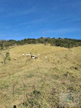 Chácara com 2 Quartos à Venda, 14.000 m² em Centro - Igaratá