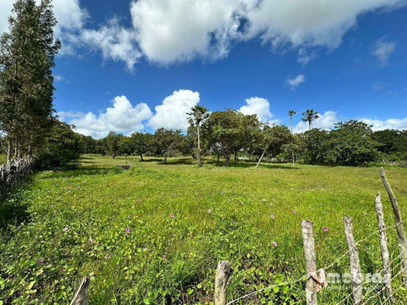 Imagem Terreno à Venda, 144.000 m² em Zona Rural - Cascavel Imagem Terreno à Venda, 144.000 m² em Zona Rural - Cascavel