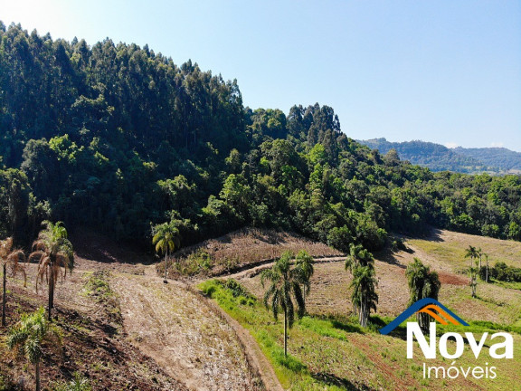 Imagem Imóvel à Venda, em Pinhal Alto - Nova Petrópolis Imagem Imóvel à Venda, em Pinhal Alto - Nova Petrópolis