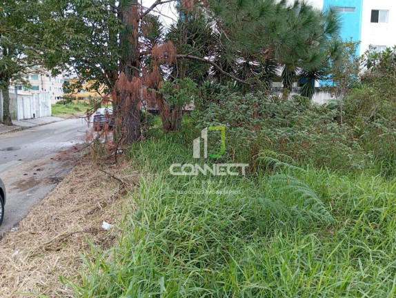 Imagem Terreno à Venda, 416 m² em Sertão Do Maruim - São José Imagem Terreno à Venda, 416 m² em Sertão Do Maruim - São José