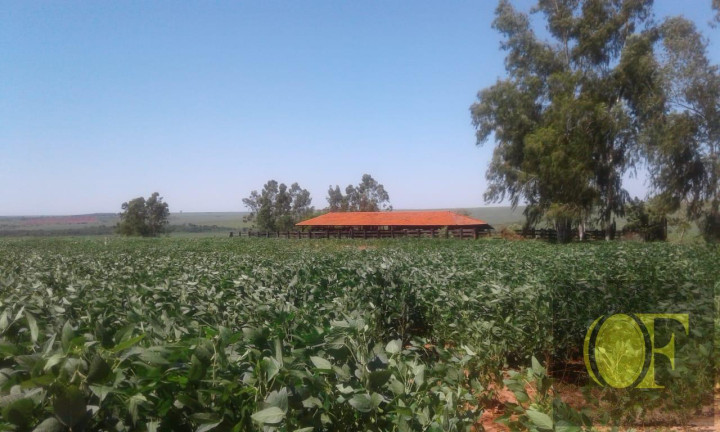 Imagem Fazenda à Venda, 793 m² em Rural - Ivinhema Imagem Fazenda à Venda, 793 m² em Rural - Ivinhema