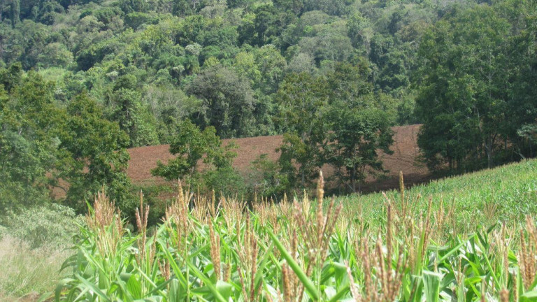 Imagem Terreno à Venda, 120.000 m² em Rural - Concórdia Imagem Terreno à Venda, 120.000 m² em Rural - Concórdia