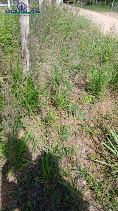 Imagem Terreno à Venda, 1.550 m² em águas Claras - Viamão