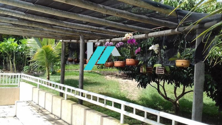 Imagem Fazenda à Venda, 3.700 m² em Serra Negra - Betim Imagem Fazenda à Venda, 3.700 m² em Serra Negra - Betim