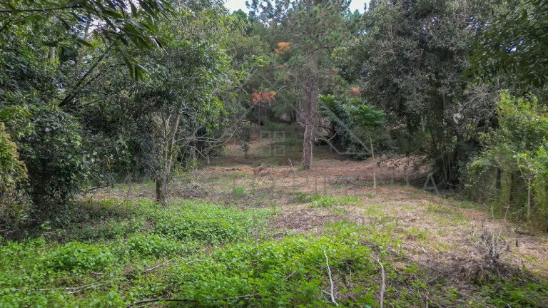Imagem Terreno à Venda, 21.000 m² em Chácaras Alpina - Valinhos Imagem Terreno à Venda, 21.000 m² em Chácaras Alpina - Valinhos