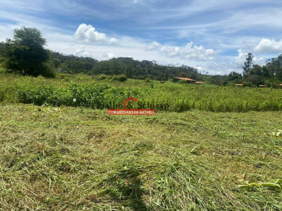 Imagem Chácara com 3 Quartos à Venda, 10.000 m² em Viçosa Imagem Chácara com 3 Quartos à Venda, 10.000 m² em Viçosa