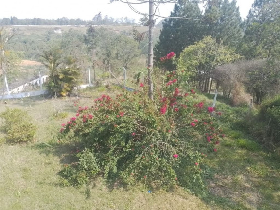 Imagem Fazenda à Venda, 1.000 m² em Ipelândia - Suzano Imagem Fazenda à Venda, 1.000 m² em Ipelândia - Suzano