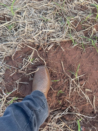 Imagem Imóvel à Venda, 1.255.000 m² em Centro - Campina Verde