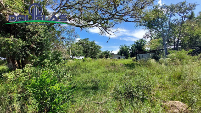 Imagem Chácara à Venda,  em Viamão