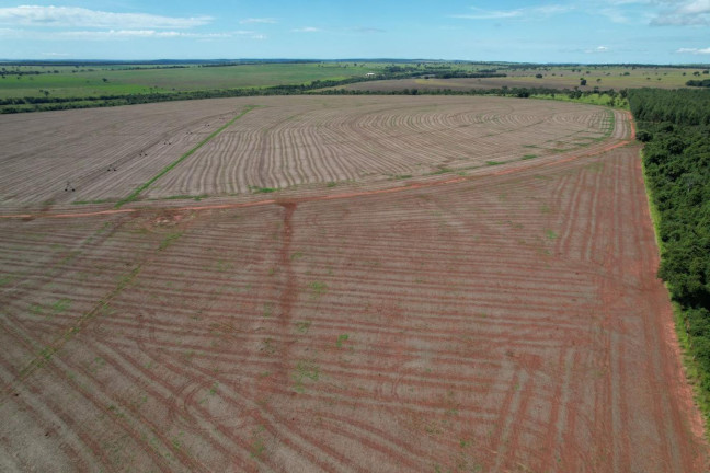 Imagem Fazenda à Venda, 74 m² em Zona Rural - Prata Imagem Fazenda à Venda, 74 m² em Zona Rural - Prata