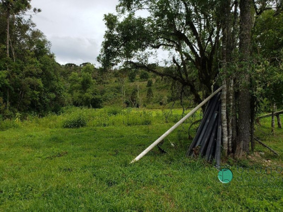 Imagem Imóvel com 3 Quartos à Venda, 350.000 m² em Zona Rural - Bom Retiro Imagem Imóvel com 3 Quartos à Venda, 350.000 m² em Zona Rural - Bom Retiro