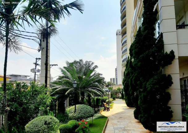 Imagem Apartamento com 3 Quartos à Venda, 97 m² em Chacara Santo Antonio - São Paulo Imagem Apartamento com 3 Quartos à Venda, 97 m² em Chacara Santo Antonio - São Paulo