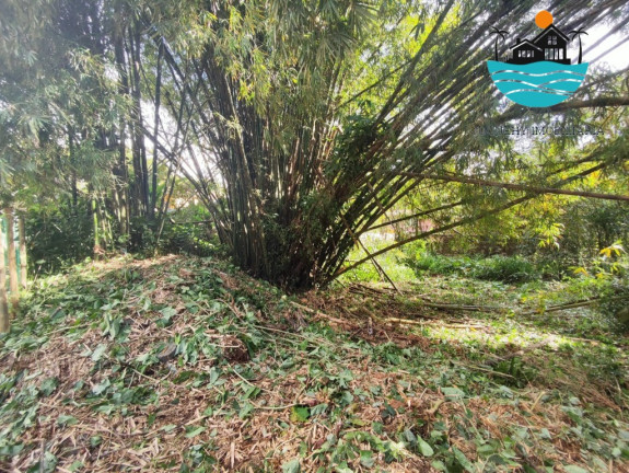 Imagem Terreno à Venda, 900 m² em Juquehy - São Sebastião Imagem Terreno à Venda, 900 m² em Juquehy - São Sebastião