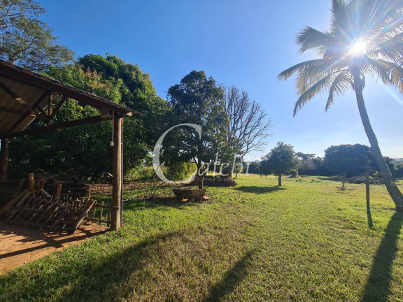 Imagem Chácara com 4 Quartos à Venda, 400 m² em área Rural De Mogi Mirim - Moji Mirim Imagem Chácara com 4 Quartos à Venda, 400 m² em área Rural De Mogi Mirim - Moji Mirim