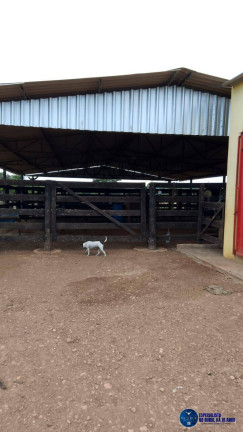 Imagem Chácara à Venda, 5 m² em Zona Rural - Mairipotaba Imagem Chácara à Venda, 5 m² em Zona Rural - Mairipotaba