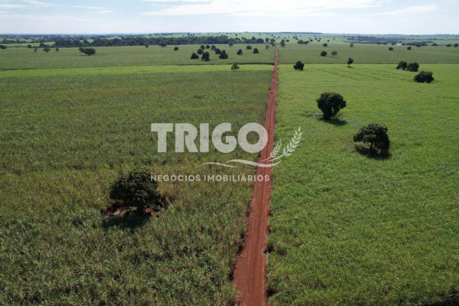 Imagem Fazenda à Venda, 629 m² em Zona Rural - Quirinópolis Imagem Fazenda à Venda, 629 m² em Zona Rural - Quirinópolis