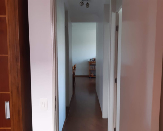 Imagem Apartamento com 3 Quartos à Venda, 64 m² em Vila Sofia - São Paulo
