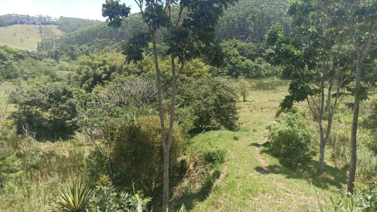 Imagem Chácara com 4 Quartos à Venda, 400 m² em Centro - Jambeiro Imagem Chácara com 4 Quartos à Venda, 400 m² em Centro - Jambeiro