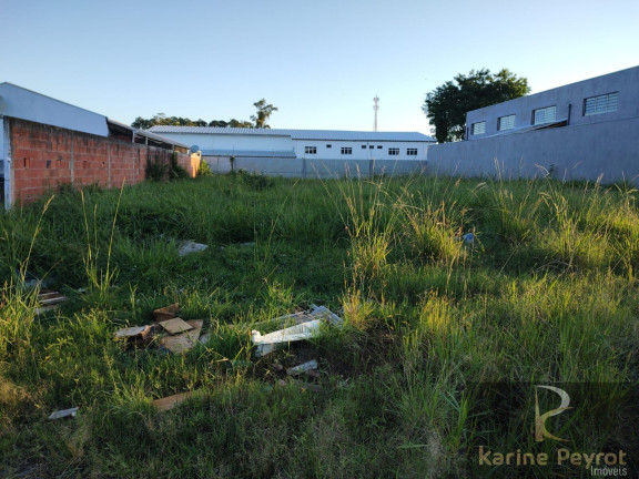 Imagem Terreno à Venda, 722 m² em Arroio Da Manteiga - São Leopoldo