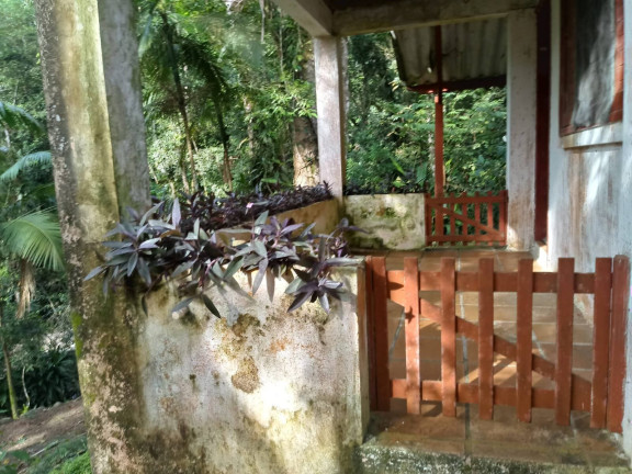 Imagem Fazenda à Venda, 6.000 m² em Centro - Itariri Imagem Fazenda à Venda, 6.000 m² em Centro - Itariri