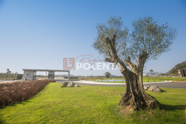 Imagem Imóvel Comercial à Venda, 4.000 m² em Gravatá - Navegantes