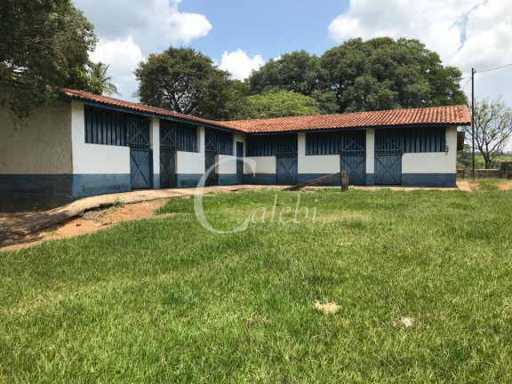 Imagem Fazenda à Venda, 160 m² em Itapira Imagem Fazenda à Venda, 160 m² em Itapira