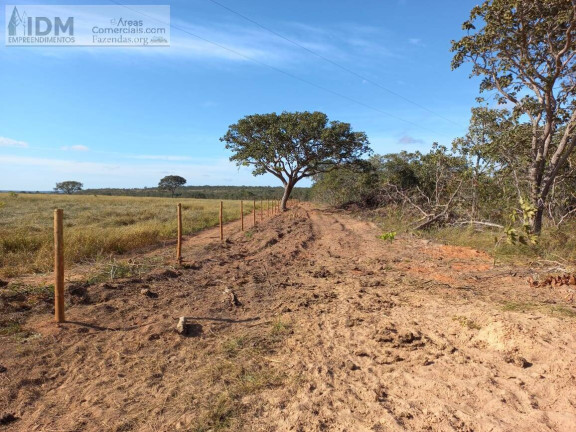 Imagem Chácara à Venda, 19.500.000 m² em Centro - Arinos