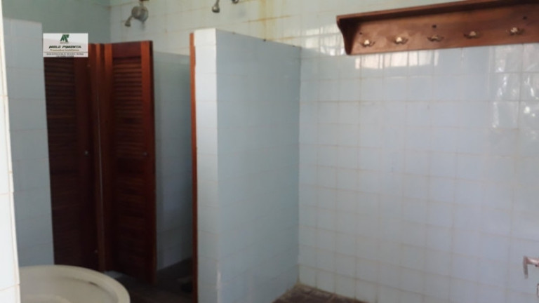 Imagem Chácara com 4 Quartos à Venda, 5.000 m² em Alto Da Serra - São Roque Imagem Chácara com 4 Quartos à Venda, 5.000 m² em Alto Da Serra - São Roque