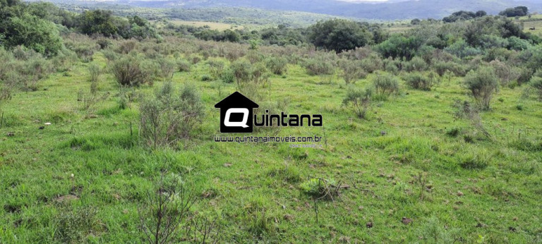 Imagem Imóvel à Venda, 420.000 m² em Centro - Pedras Altas Imagem Imóvel à Venda, 420.000 m² em Centro - Pedras Altas