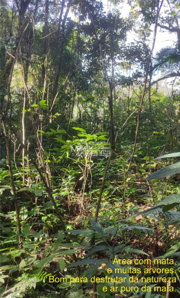 Imagem Imóvel à Venda,  em Arataca - São João Batista