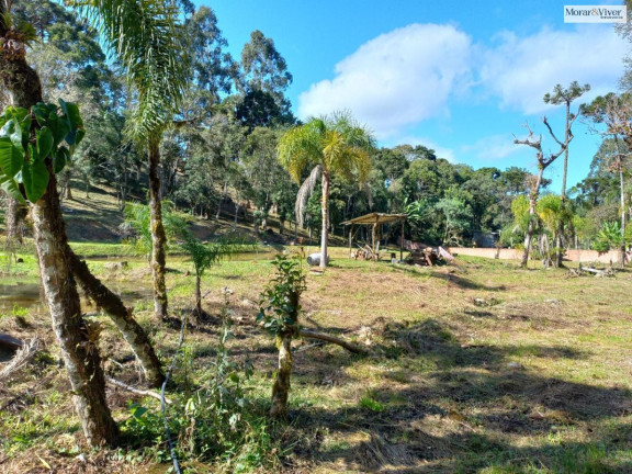 Imagem Chácara à Venda, 8.000 m² em Zona Rural - Quatro Barras Imagem Chácara à Venda, 8.000 m² em Zona Rural - Quatro Barras