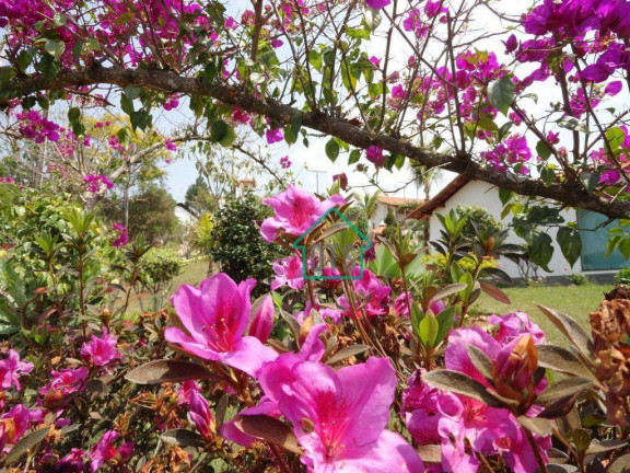 Imagem Fazenda à Venda, 1.059 m² em Cunha - Cunha