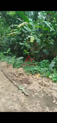 Terreno à Venda, 500 m² em Itamambuca - Ubatuba